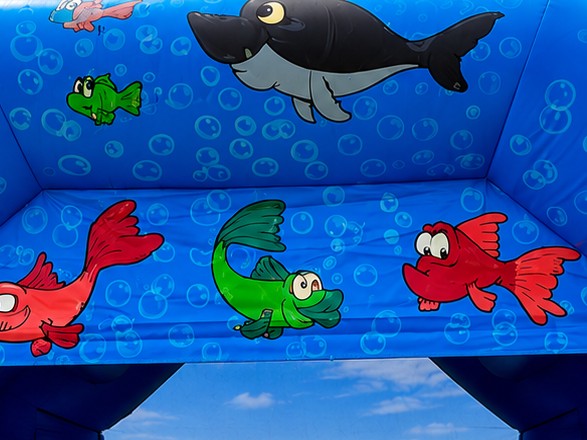 Fundo do Mar - imagem 3